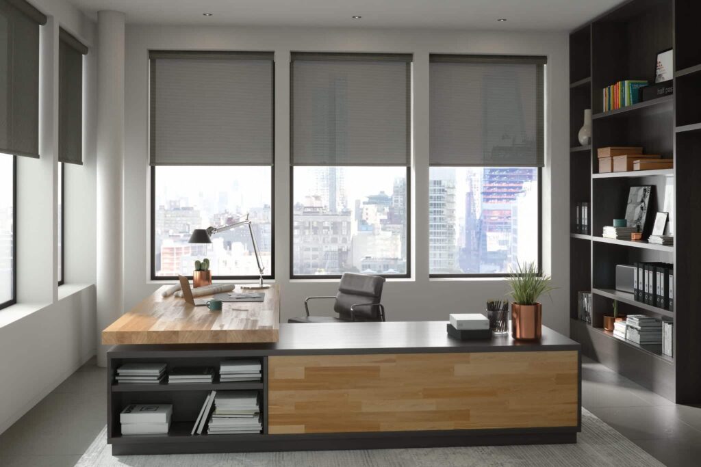 Solar Shades Condo View 1